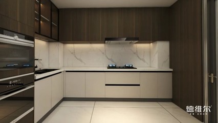 德维尔全屋定制橱柜产品效果图_7